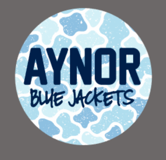 Aynor Camo Sticker